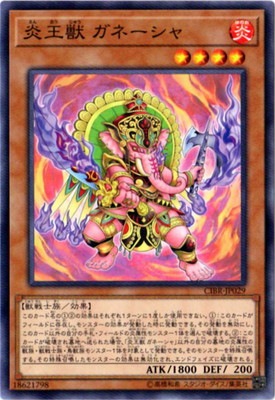 ��10��/02��/CIBR-JP029���겦�� ���͡�����