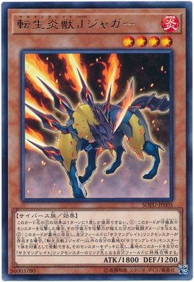 ��10��/06��/SOFU-JP005 ž�����J���㥬����R