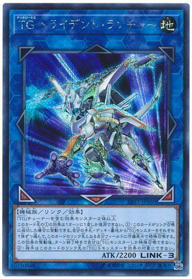 10/07/SAST-JP050 TG ȥ饤ǥȡ㡼ڥåȥ쥢