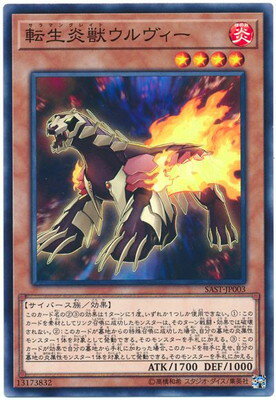 10/07/SAST-JP003 žå