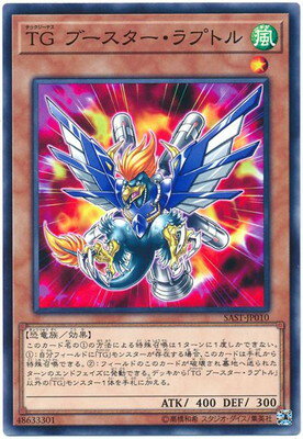 10/07/SAST-JP010 TG ֡ץȥ