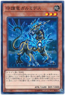 10/07/SAST-JP013 εߥǥ