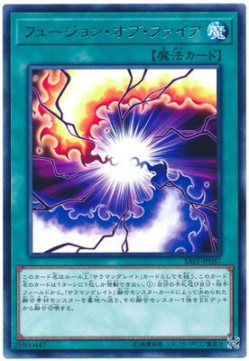 ��10��/07��/SAST-JP057 �ե塼����󡦥��֡��ե�����