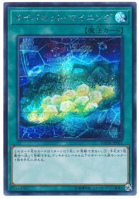 10/08/DANE-JP051 Хͥåȡޥ˥󥰡ڥåȥ쥢