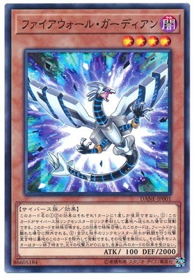 ��10��/08��/DANE-JP001 �ե������������롦�����ǥ�����