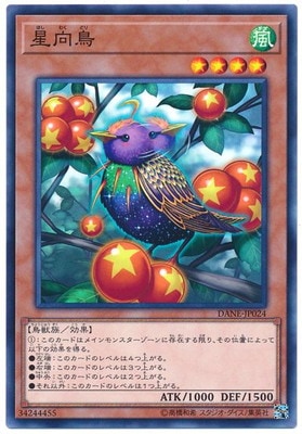 10/08/DANE-JP024 Ļ