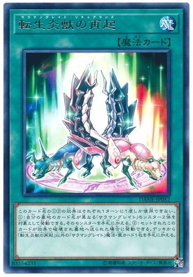 ��10��/08��/DANE-JP052 ž����äκƵ� R