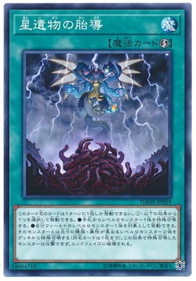 ��10��/08��/DANE-JP059 ����ʪ����Ƴ