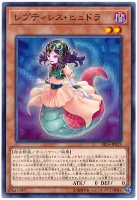 ��10��/09��/RIRA-JP025 ��ץƥ��쥹���ҥ�ɥ�