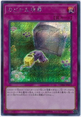 10/10/CHIM-JP077 Τɤڥåȥ쥢