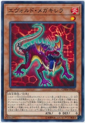 10/10/CHIM-JP020 ɡᥬ