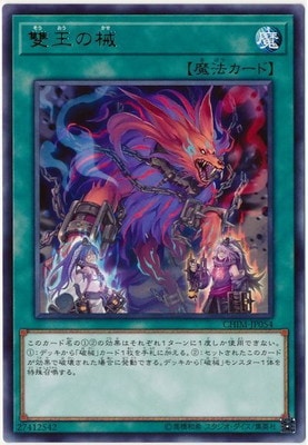 10/10/CHIM-JP054 ֲγ R