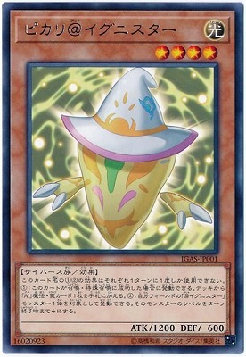 10/11/IGAS-JP001 ԥ˥ R