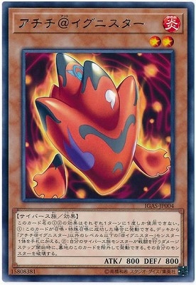 ��10��/11��/IGAS-JP004 �������������˥����� R