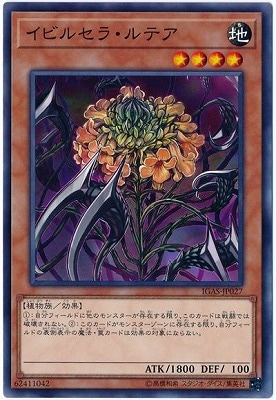 ��10��/11��/IGAS-JP027 ���ӥ륻�顦��ƥ�