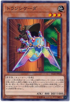 ��10��/11��/IGAS-JP030 �ȥ�󥷥�����