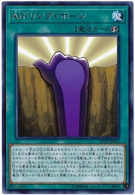 ��10��/11��/IGAS-JP052 Ai�ɥ�󥰡��ܡ��� R