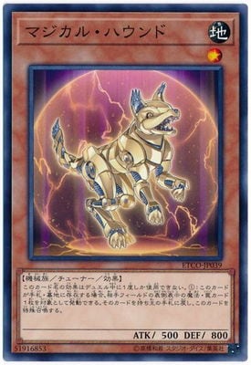 10/12/ETCO-JP039 ޥ롦ϥ NR