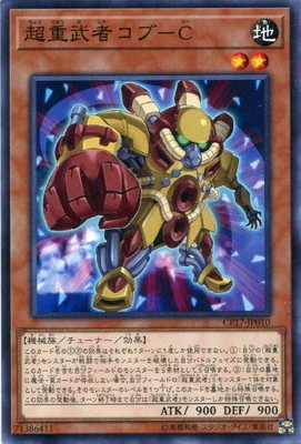 ��10��/CP17-JP010��Ķ����ԥ���-C