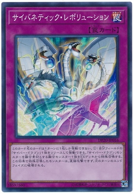 ��10��/DP20-JP016 �����Хͥƥ��å�����ܥ�塼�����ڥ����ѡ��쥢��