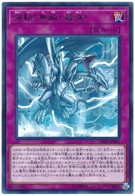 ��10��/DP20-JP005 ���١�̵Ũ���Ƕ�����R