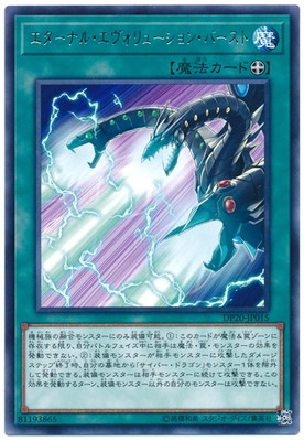 ��10��/DP20-JP015 �������ʥ롦��������塼����󡦥С�����