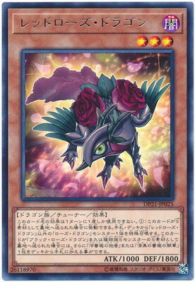 ��10��/DP21-JP025 ��åɥ��������ɥ饴��R