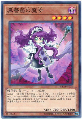 黒薔薇と荊棘の魔女 黒薔薇の破滅竜 プリズマ 各1枚 セット 遊戯王 第10期/DP21-JP030 黒薔薇の魔女 | 遊戯王OCG,【OCG】その他