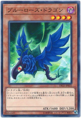 ��10��/DP21-JP031 �֥롼���������ɥ饴��