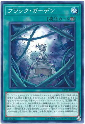 ��10��/DP21-JP032 �֥�å��������ǥ�