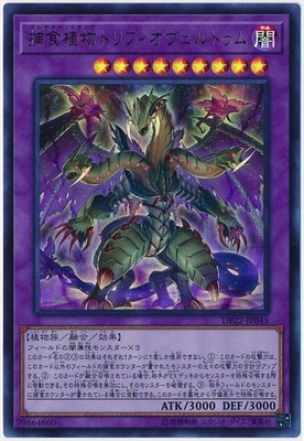 ��10��/DP22-JP045 �Ῡ��ʪ�ȥ�ե���������ȥ���ڥ���ȥ�쥢��