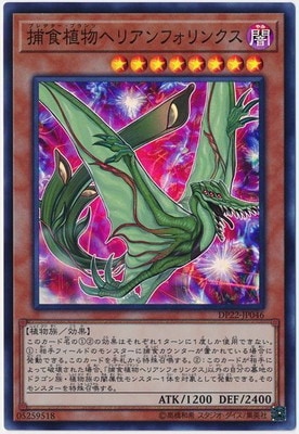 ��10��/DP22-JP046 �Ῡ��ʪ�إꥢ��ե���󥯥��ڥ����ѡ��쥢��