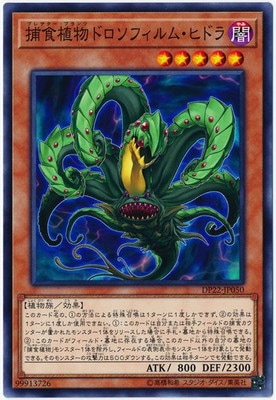 ��10��/DP22-JP050 �Ῡ��ʪ�ɥ����ե���ࡦ�ҥɥ�