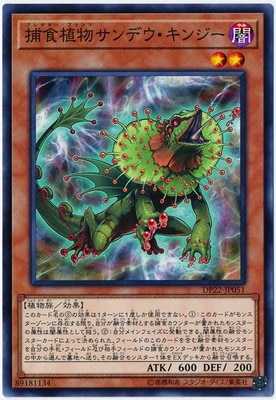 ��10��/DP22-JP051 �Ῡ��ʪ����ǥ������󥸡�