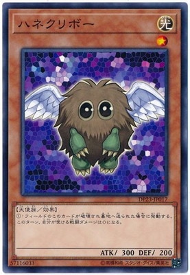 ��10��/DP23-JP017 �ϥͥ���ܡ�