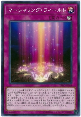 10/DBIC-JP045 ޡ󥰡ե