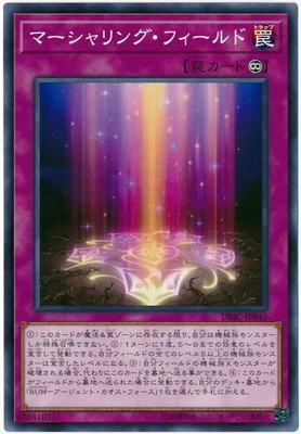 10/DBIC-JP045 ޡ󥰡ե