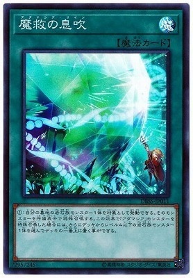 10/DBSS-JP011 ߤ©ڥѡ쥢