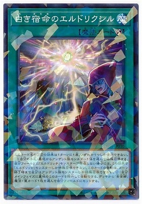 10/DBSS-JP030 򤭽̿Υɥꥯڥѥ