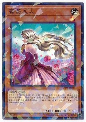 10/DBSS-JP039 ͡ڥѥ