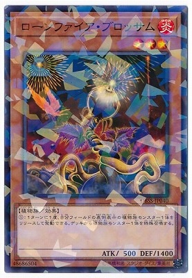 10/DBSS-JP040 ե֥åڥѥ