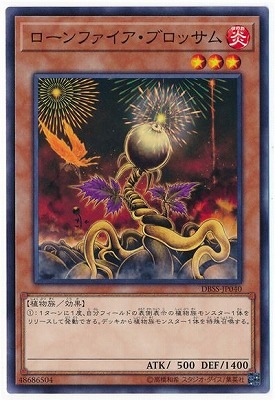 10/DBSS-JP040 ե֥å