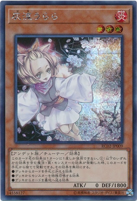 ��10��/RC02-JP009 ��ή����� �ڥ�������åȥ쥢��