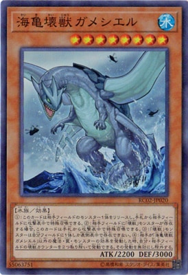 10/RC02-JP020 å᥷ ڥѡ쥢