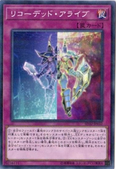 10/SD32-JP032ꥳǥåɡ饤֡ڥѥ