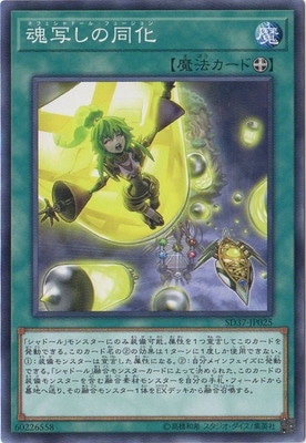 ��10��/SD37-JP025�����̤���Ʊ��