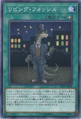 ��10��/SD37-JP030����ӥ󥰡��ե��å���