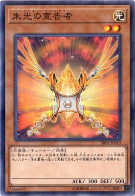 10/SR05-JP019ԡڥΡޥѥ