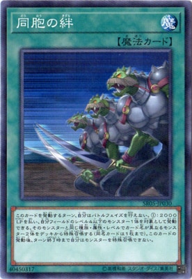 10/SR05-JP030Ʊ˦嫡ڥΡޥѥ