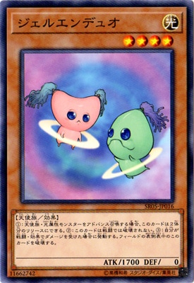 10/SR05-JP016륨ǥ奪